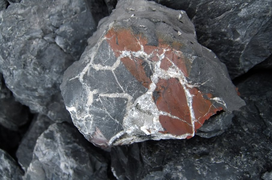 Mineralisierte Septarie